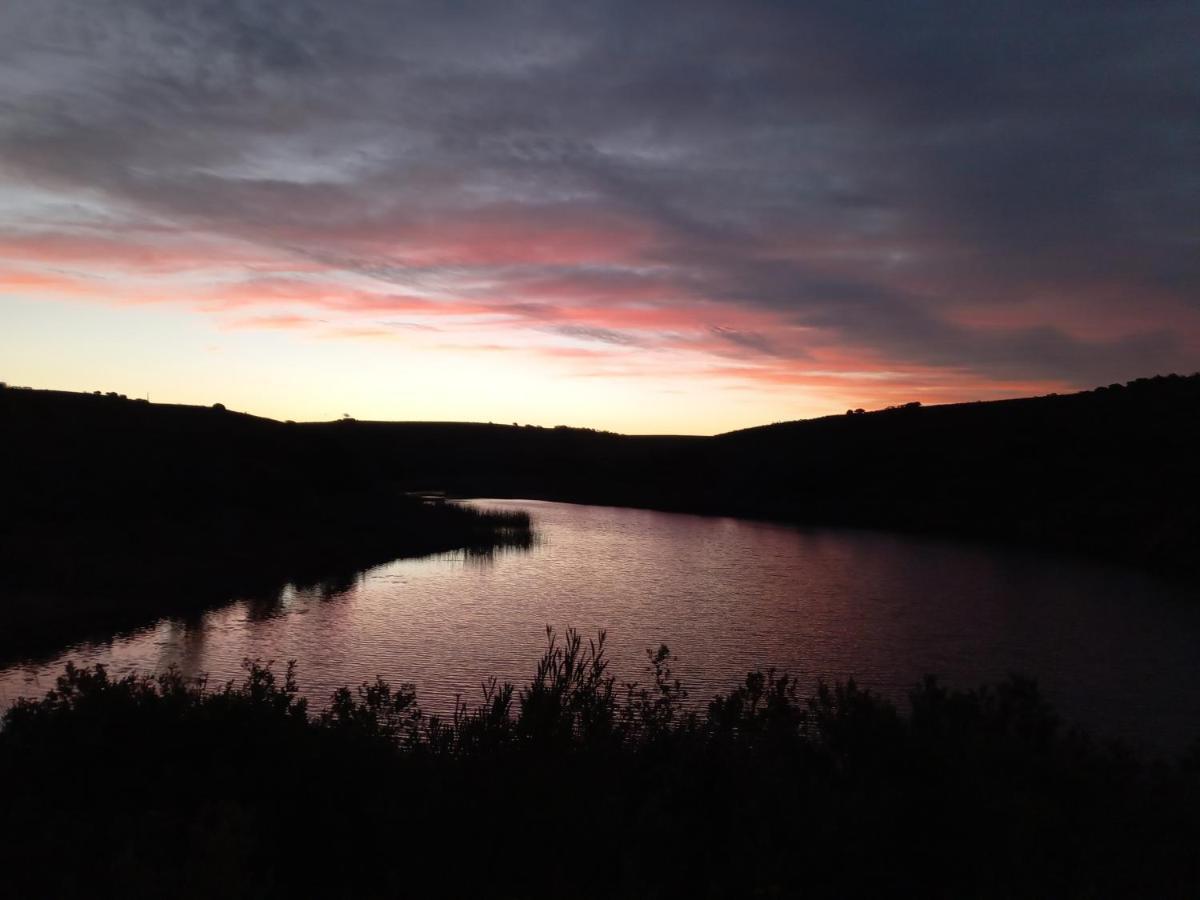 Fijnbosch Game Lodge Jeffreys Bay Zewnętrze zdjęcie
